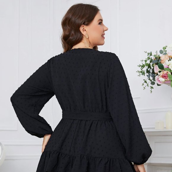 Melo Apparel Plus Size Swiss Dot Tie Waist V-Neck Dress - Picture 8 of 10